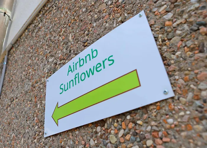 Sunflowers, Monte Bre & Wifi, Free Parking