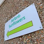 Sunflowers, Monte Bre & Wifi, Free Parking